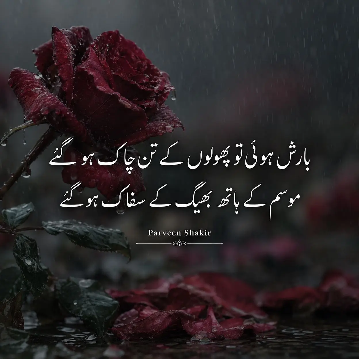 Sad poetry in Urdu 2 lines by Parveen Shakir - Barish hui to phoolon ke tan chaak ho gaye